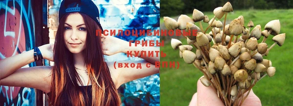 гидропоника Краснослободск