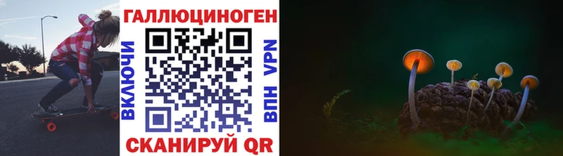 MEGA рабочий сайт  Староминская  Галлюциногенные грибы Psilocybe 